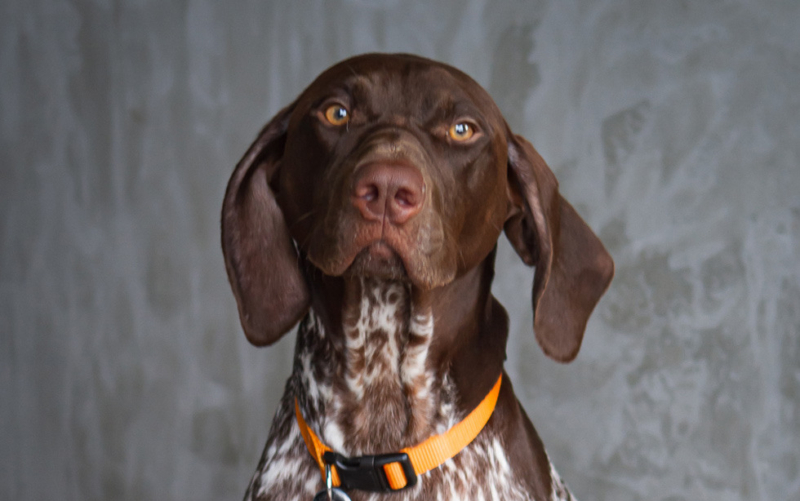 Teammember doug