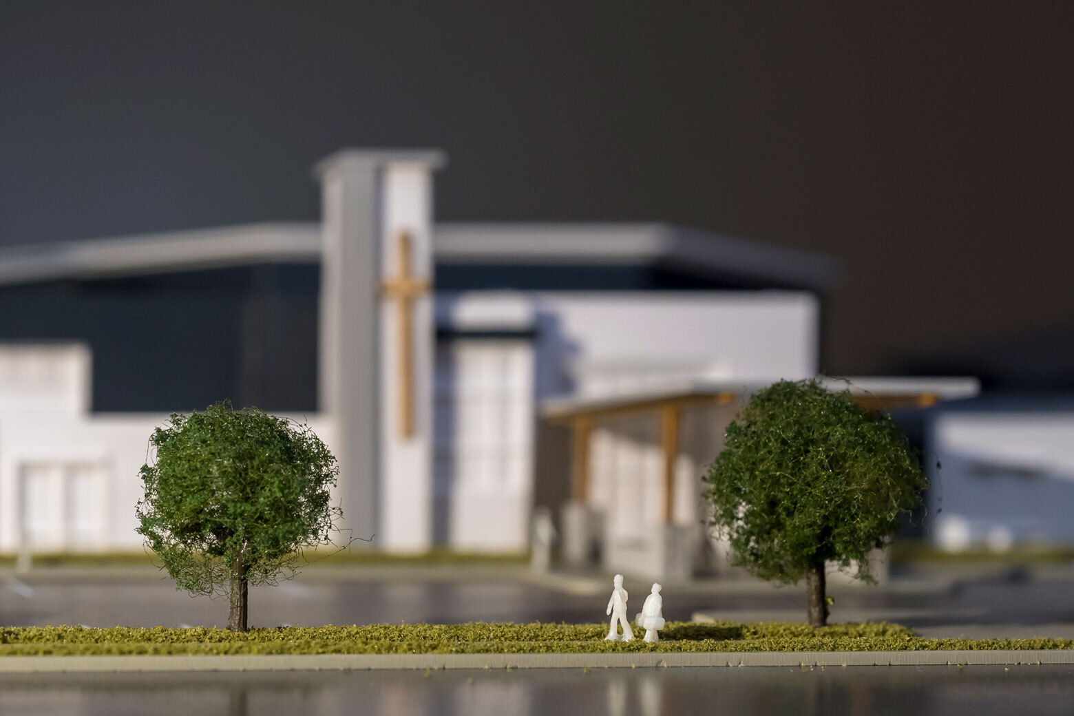 Nwcc model perspective