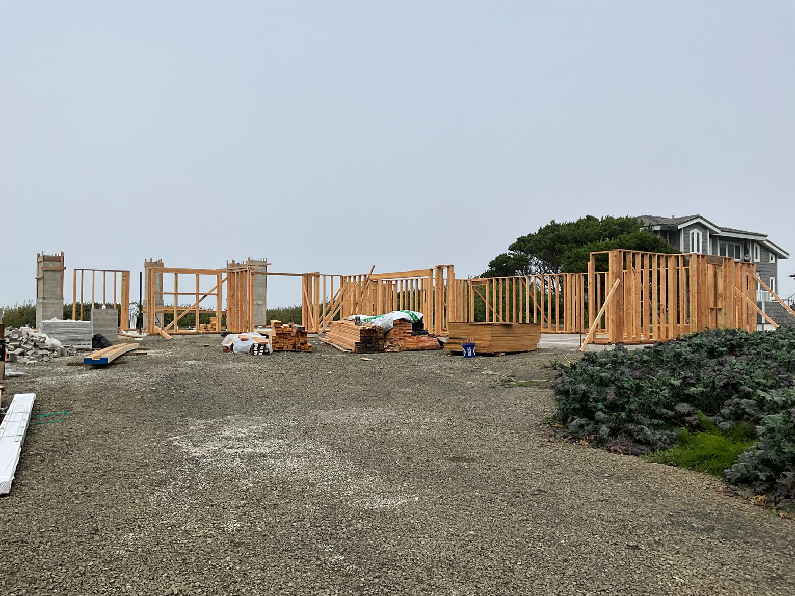 Coast site visit 1